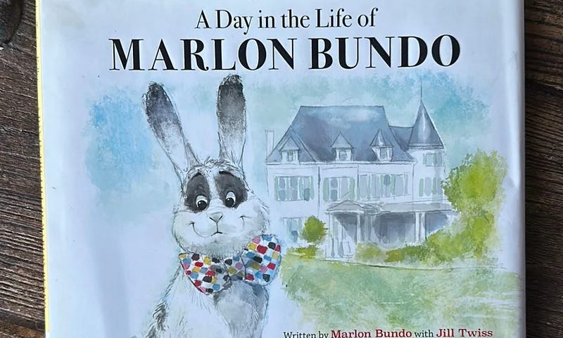 A book with a picture of a bunny.
