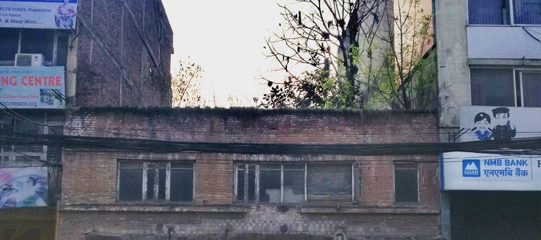 In Putalisadak, Kathmandu, Nepal, there is an old building where trees have grown in its roof.