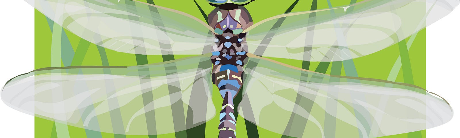 digital depiction of a dragonfly showing it on a blade of grass with wings stretched outwards.