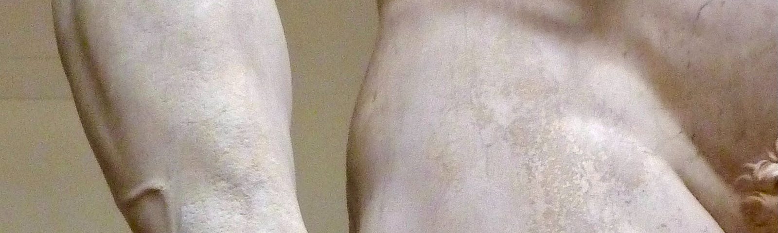 Arm and thigh of Michelangelo’s David.