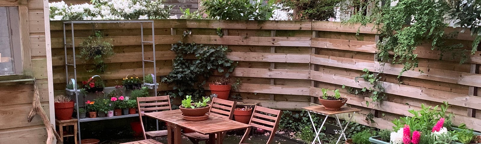 this is a photo of my garden today when I was finished with some planting. Thee are flowers in bloom on nearby trees and bushes and flowers in pots.