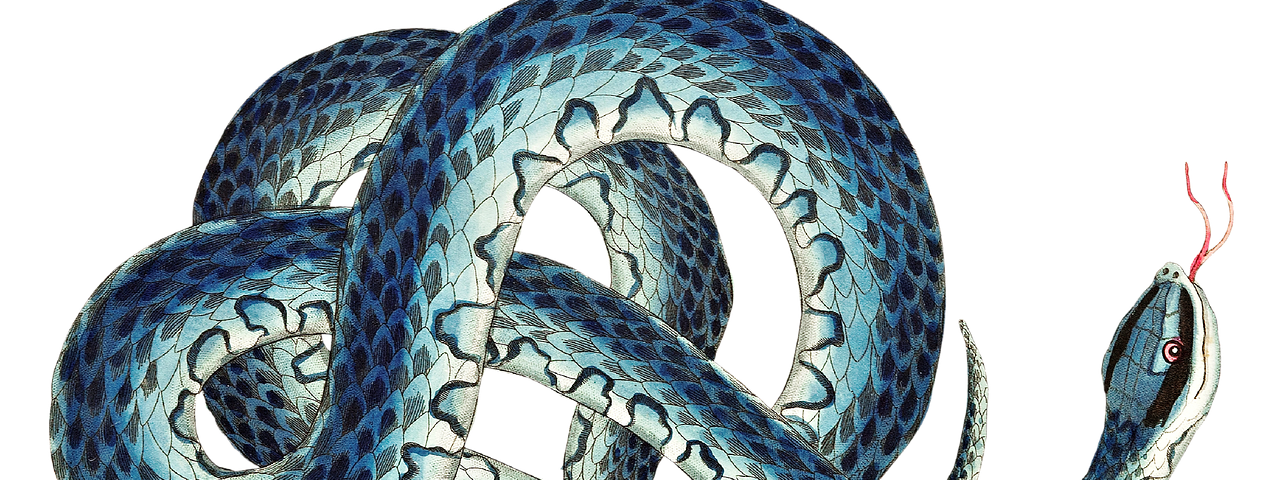 A coiled blue snake illustration representing transformation.