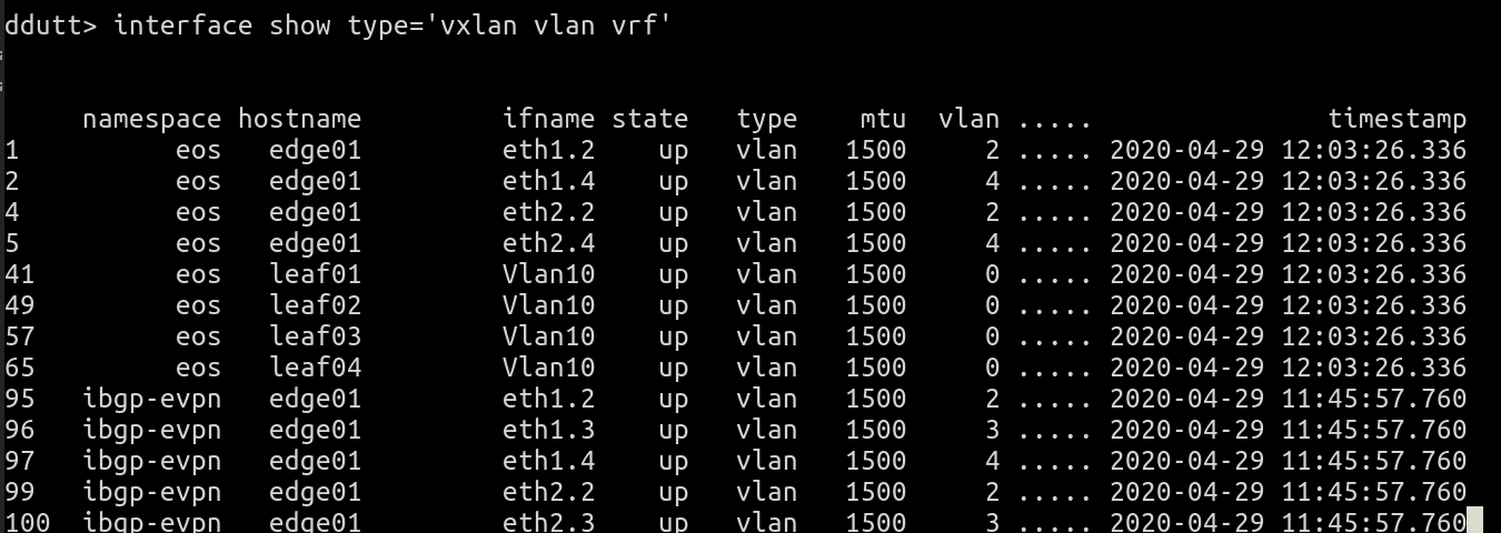 Output of interface show for virtual networks