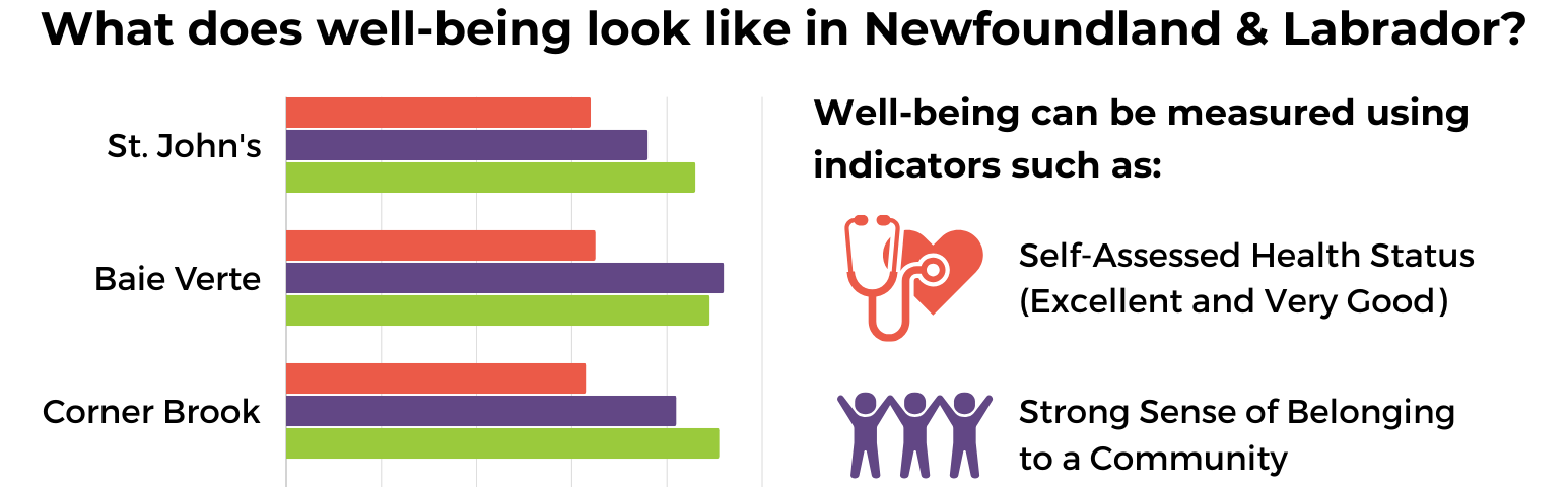 Infographic titled Well-Being in Newfoundland and Labrador