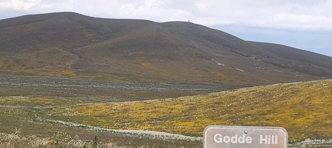 View of a distant peak at the Antelope Valley poppy reserve