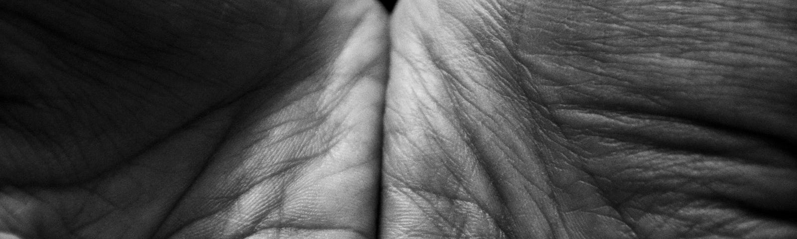 Wrinkled hands offering, palms up, in black and white.