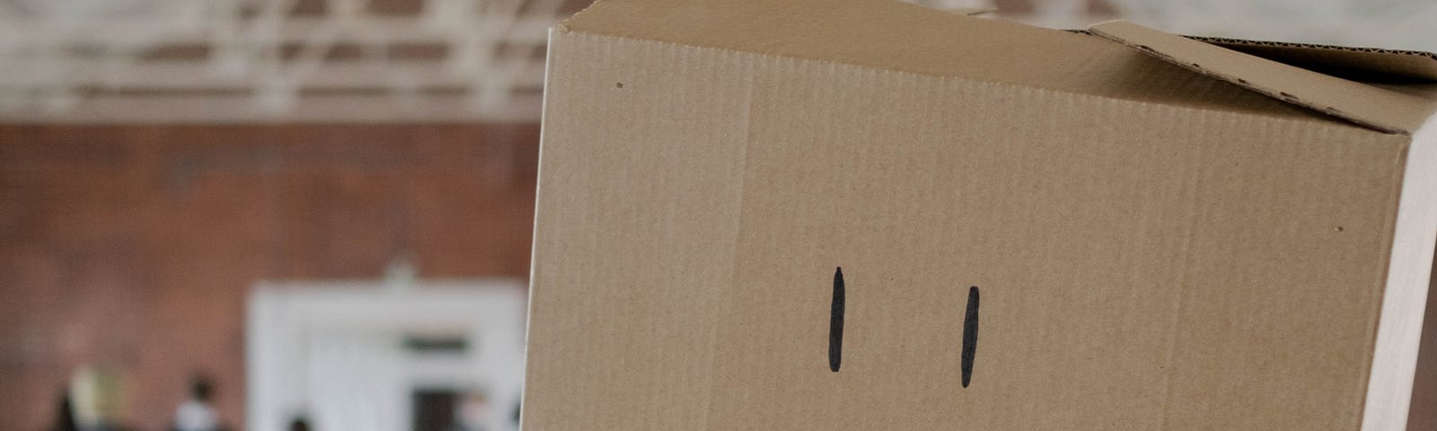 A person’s face covered with a box which has a sad emoji carved on it.