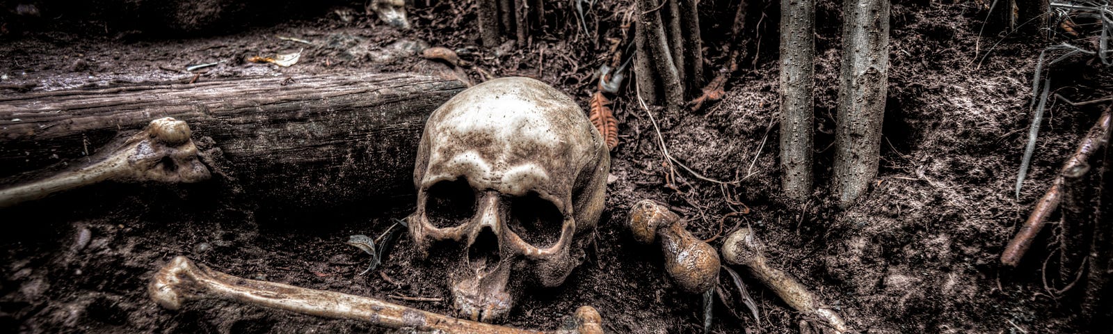 Partially buried skull and bones in the woods.