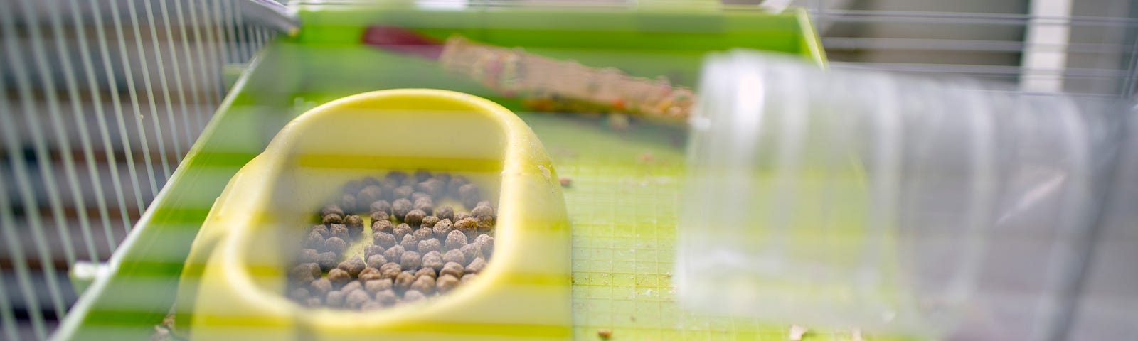 A small hamster cage with a green tray on which sits a yellow food bowl full of hamster food in pellet form. There’s some hamster bedding and a large, transparent plastic tube for the hamster to move around the cage in.