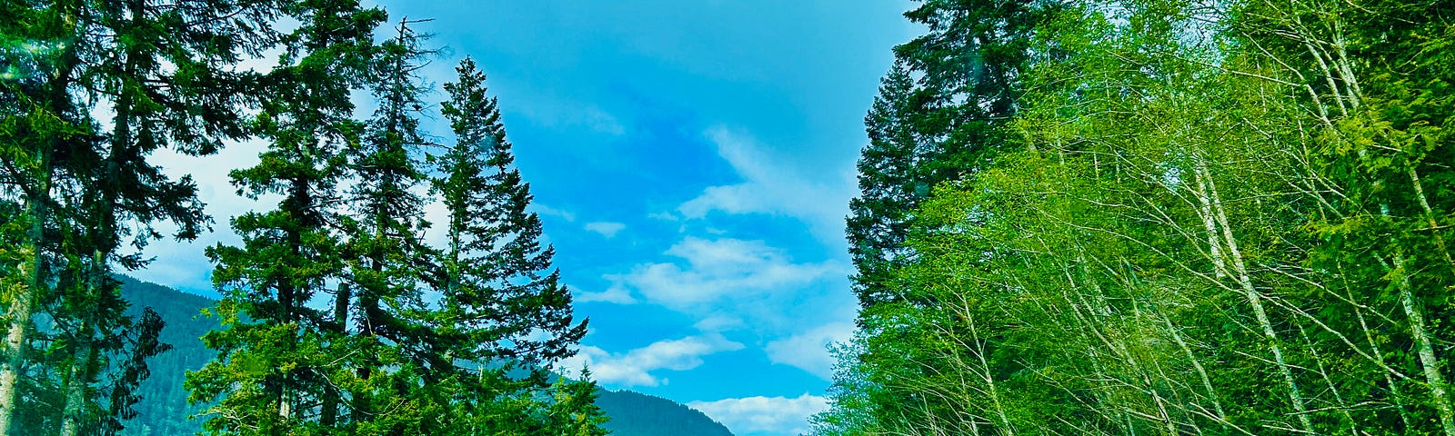 A highway with trees on either side and a car ahead in the distance. A rainbow spans the road ahead.