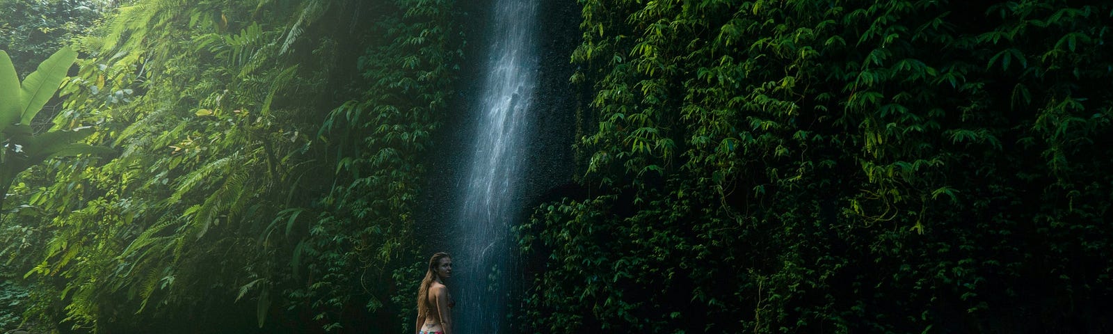 Wondering in nature, By Alexandr Podvalny on pexels.com