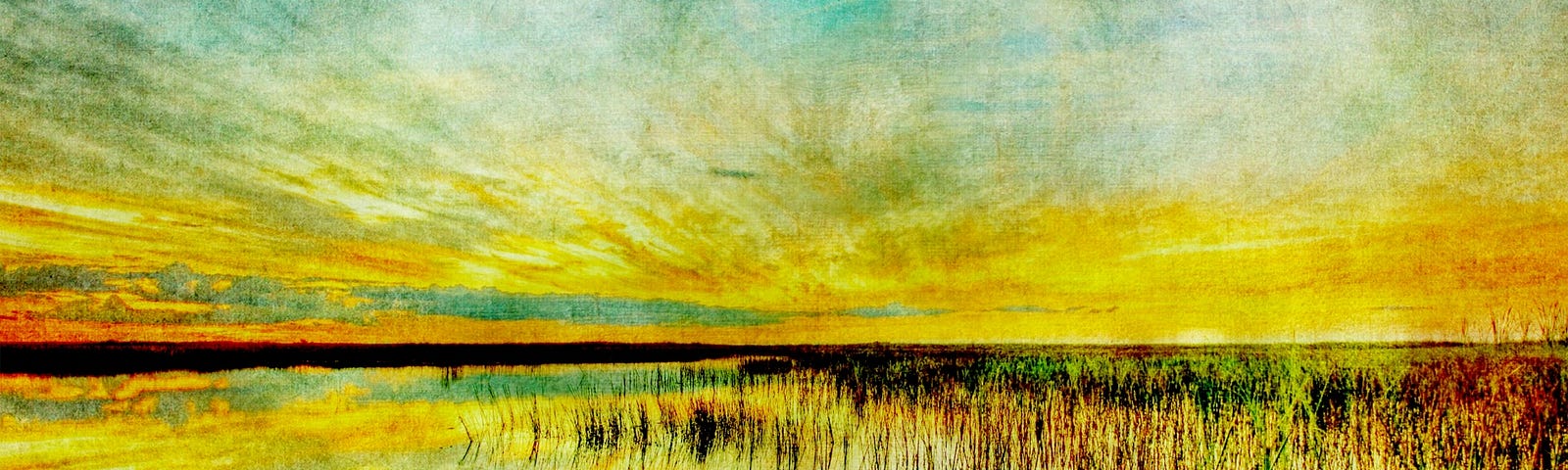 Painterly rendering of sunset photo of water and reeds meeting sky in centre radiating golds and greens.