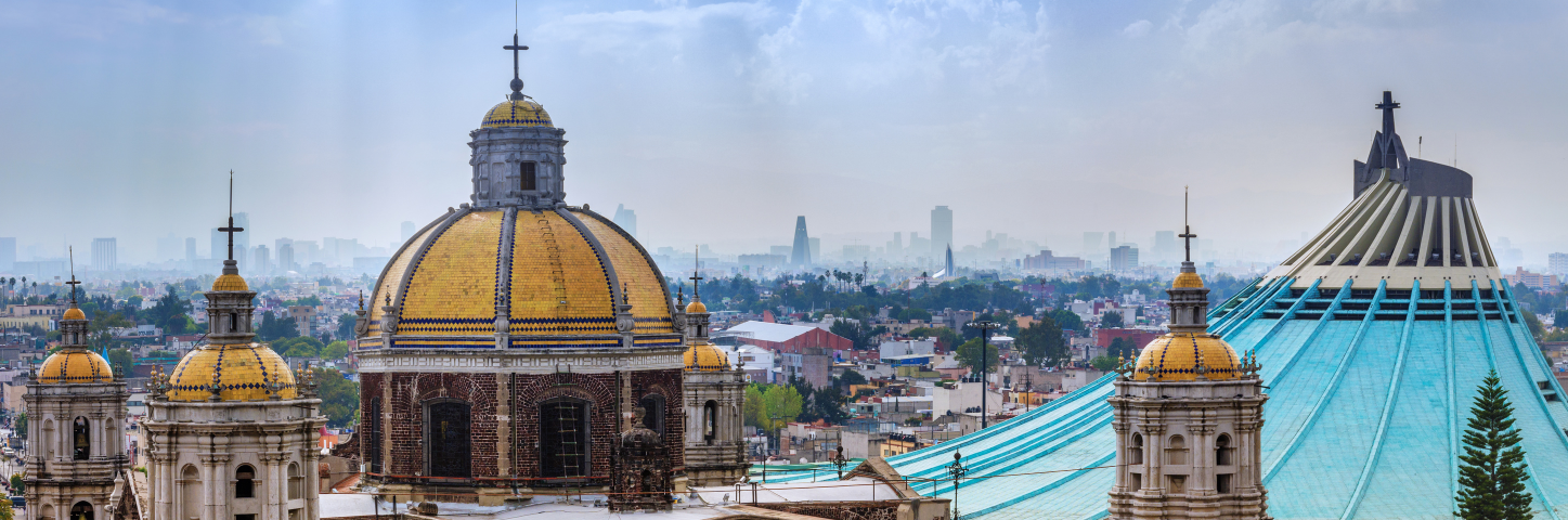 Image of the Virgen Guadalupe Basilica