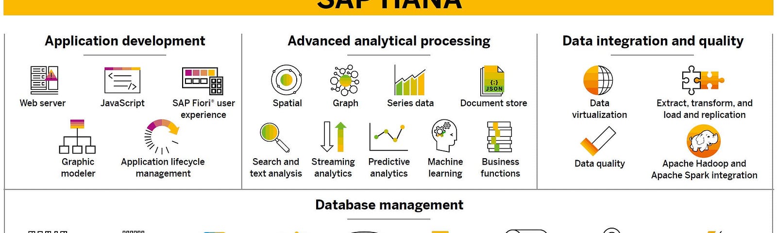 5 Best SAP Hana Online Courses to Learn for Beginners