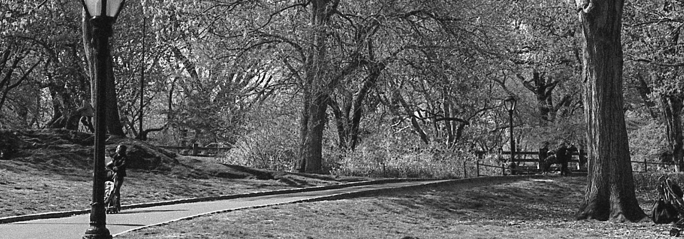 A man in a suit reading on a bench in Central Park