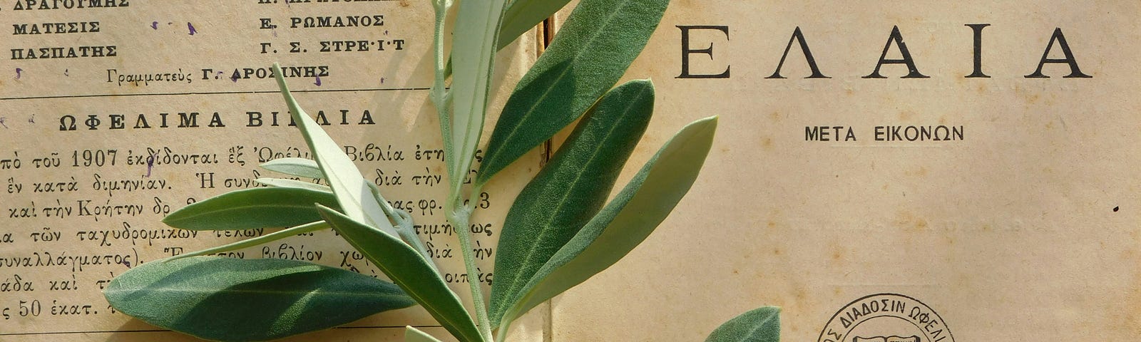 An olive branch on a Greek book.