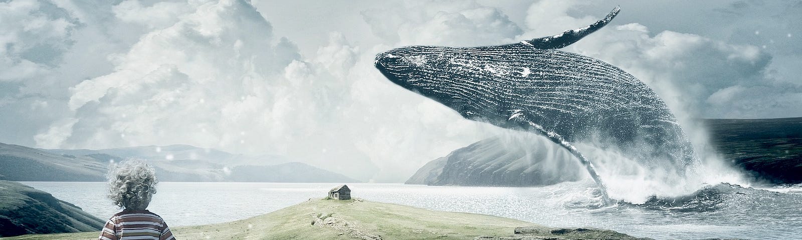 small child on a rocky scotland like beach with a whale breeching