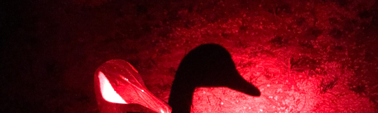 A goose decoy under in the spotlight of a red light in the dark