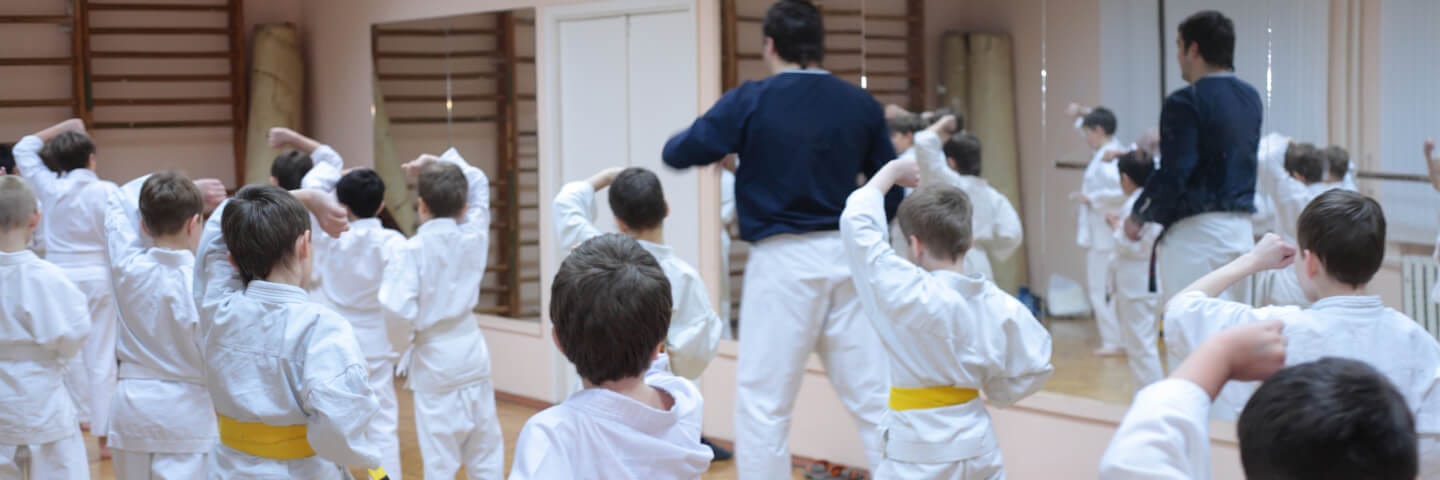 Martial Arts Playticipate Blog