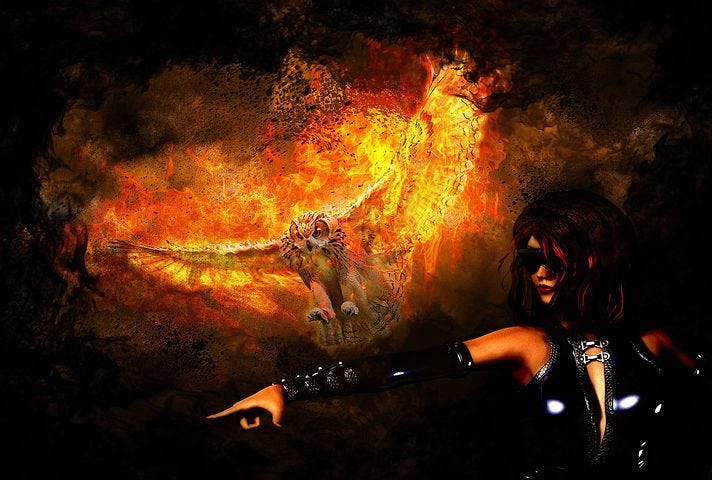A strong woman, dressed in black keather and dark sunglasses, her right arm extended to allow her pheonis, aflamed in fire, to land on her keatger ckad forearm.