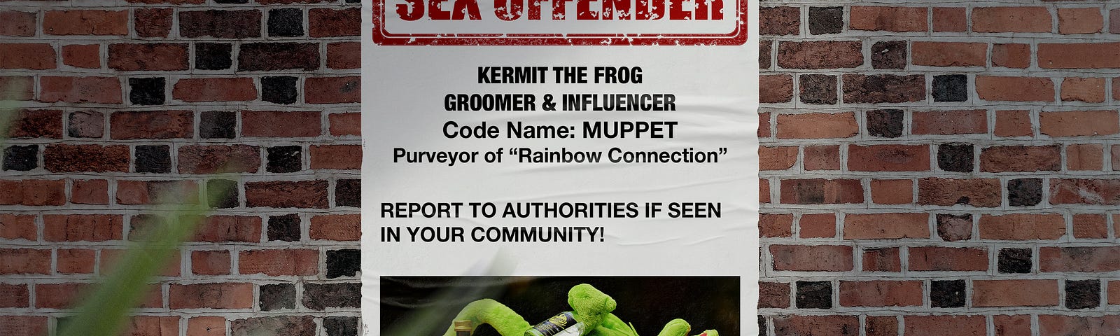 Drunk Kermit on sex offender poster