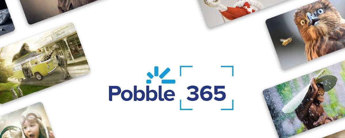 Image result for pobble 365 logo