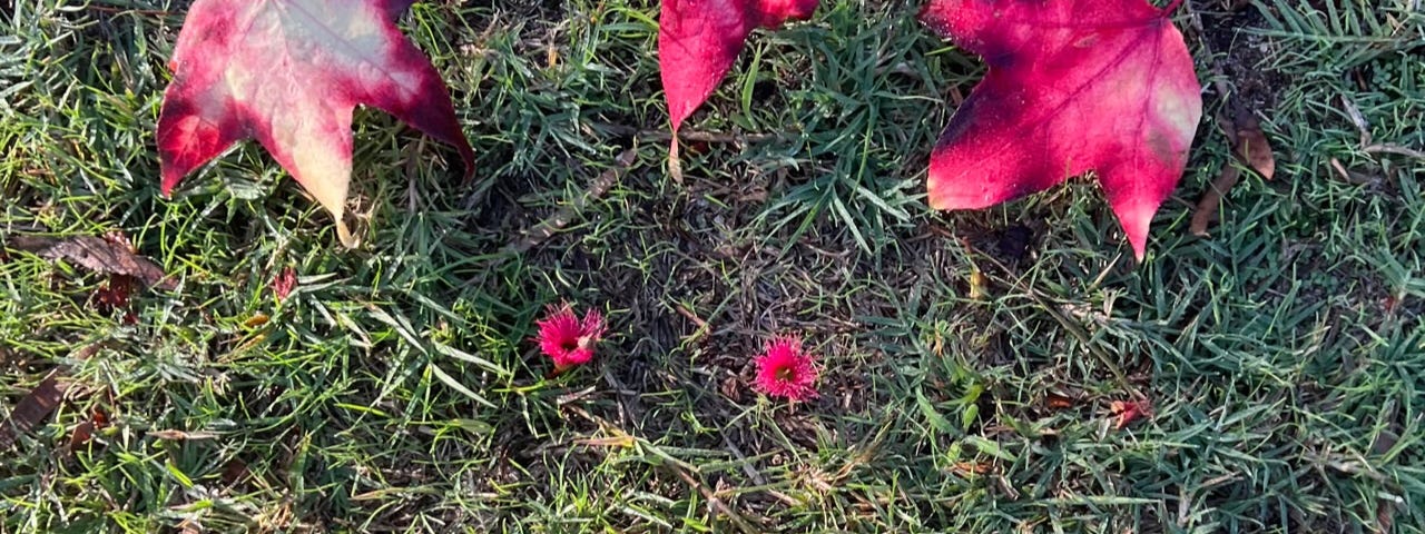 Flower blossums arranged in a smile with leaves as hair