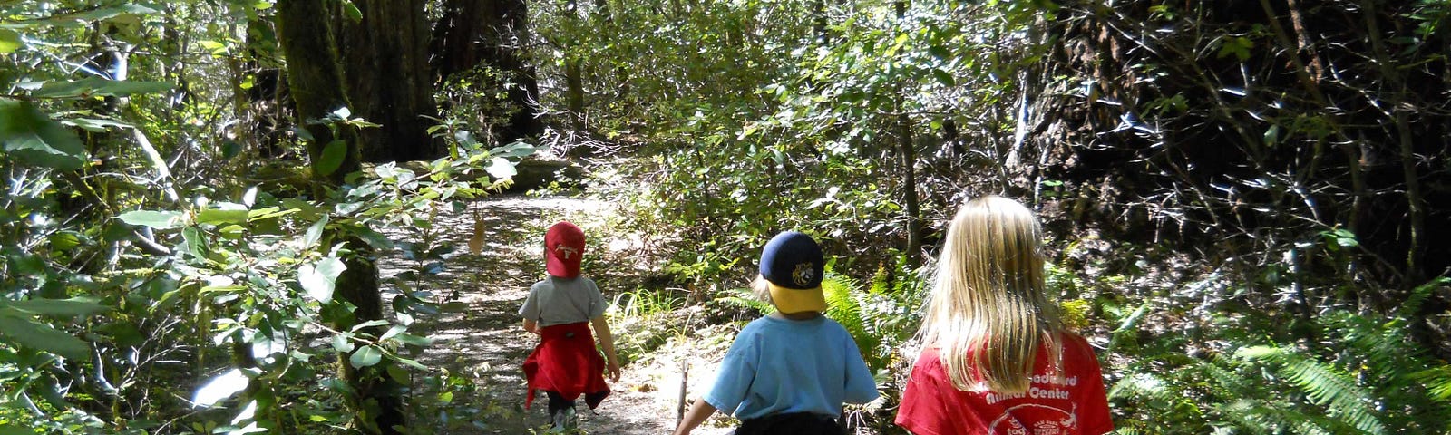 kids hiking on a forest trail — medium story boost