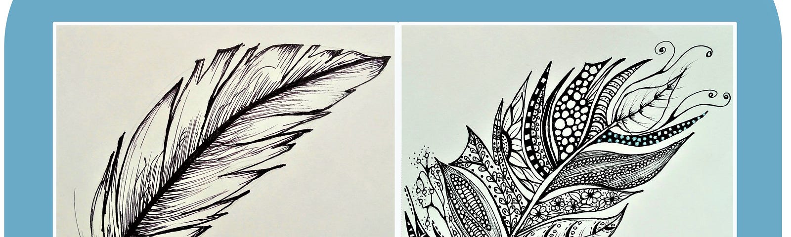 Two pictures on hand drawn ink on white paper feathers in two different styles. Ink and line drawing of a feather.
