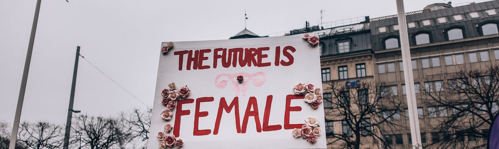 a crowd of picketing women with a sign The Future is Female (authentic equality)
