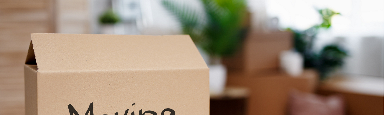 A moving box sits on a table with the words “Moving Day”