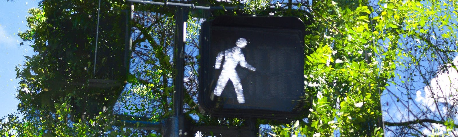 Crosswalk showing walking figure, trees and blue sky in the background.