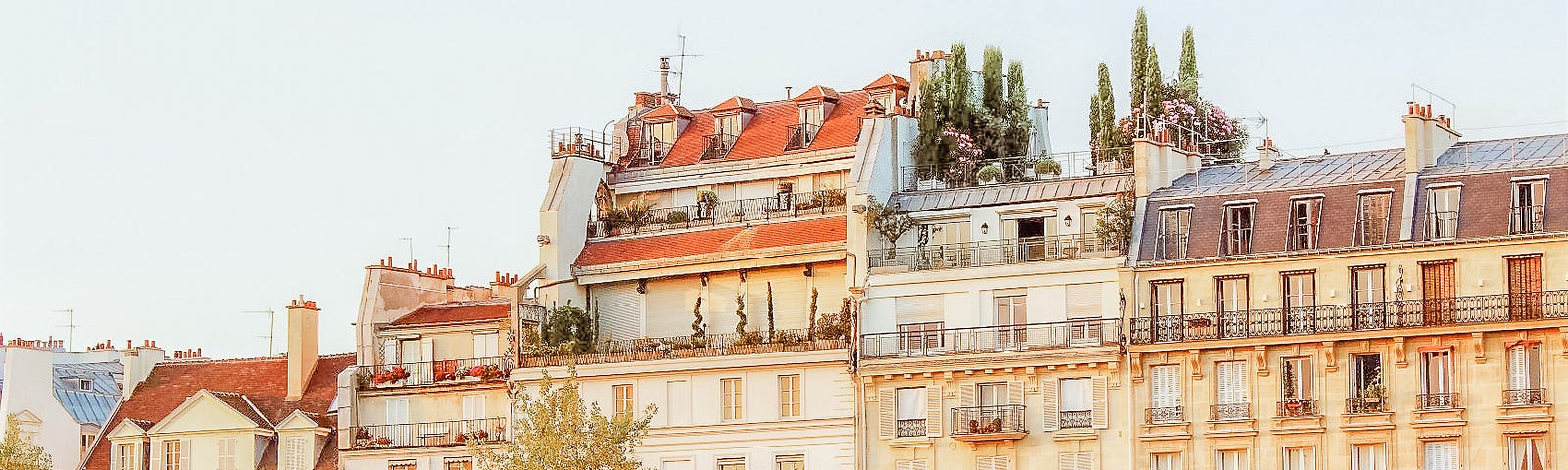 tall buildings with trees lining the riverbank on ile saint louis paris