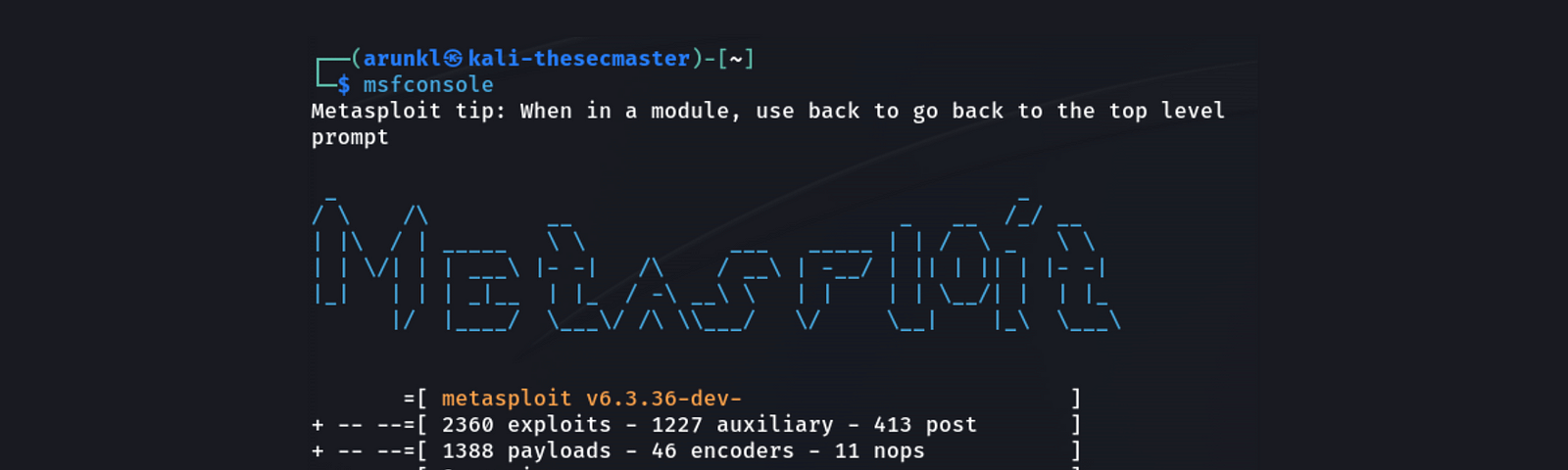 metaspoilt on the command prompt