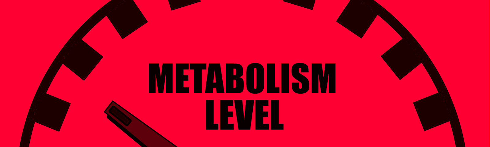 healthy metabolism