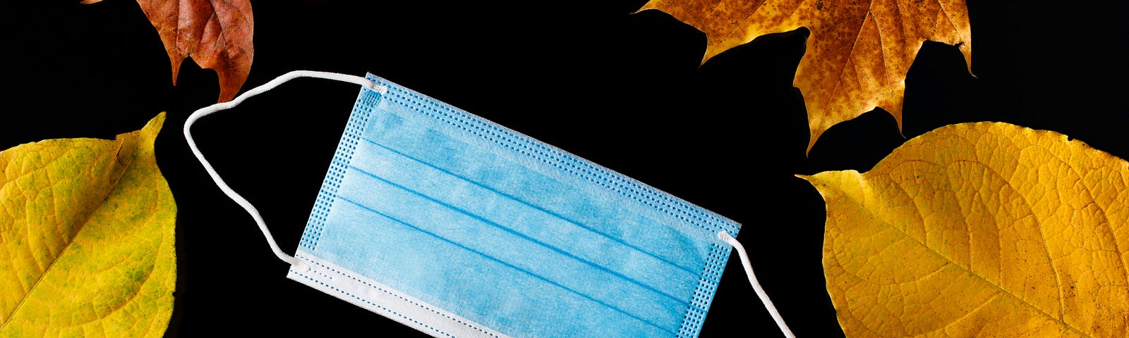 A surgical mask surrounded by fall leaves on a black background