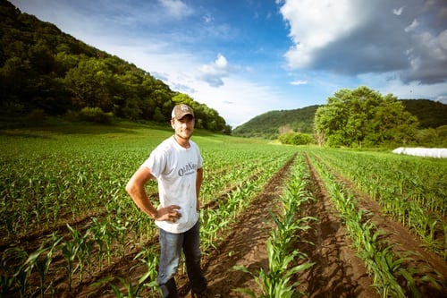 Young farmer standing in recently planted field