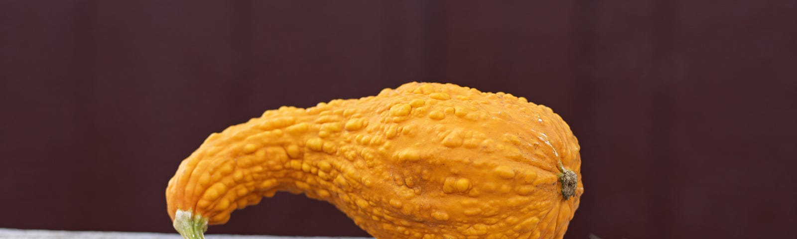 An warty orange gourd on a board.