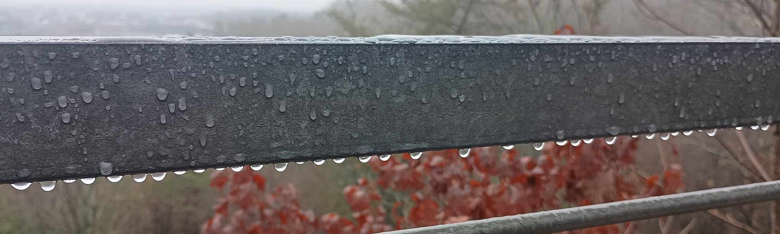 Rain drops collect on a balcony high above the woods