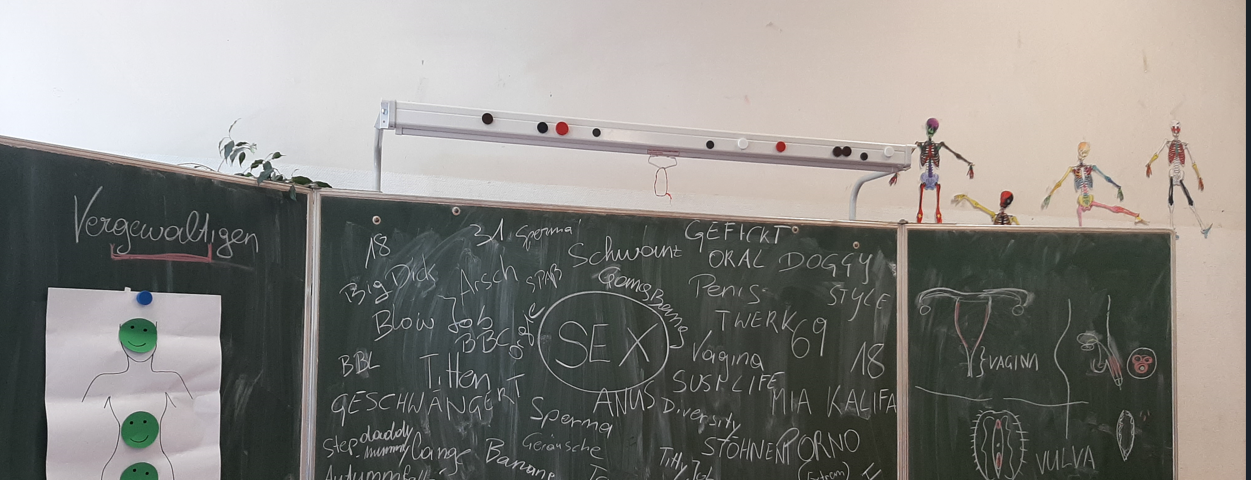 Blackboard with sex education related words and sketches of reproductive organs