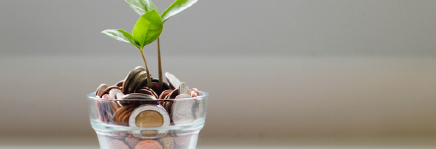 a glass filled with coins and a tiny plant growing out of it