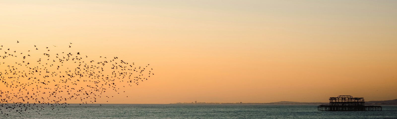 The West Pier, Brighton, at sunset. A murmeration of starlings flying over a calm sea.