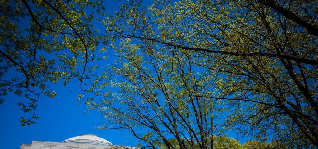 Photo of the MIT dome surrounded by trees in springtime