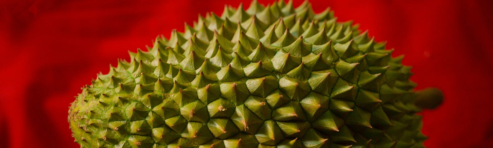 A spiky durian fruit on a table