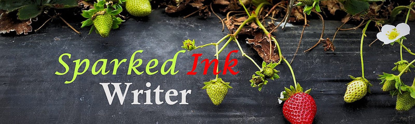 Strawberrry plants with green unripened strawberries and a single red strawberry draped over a slate grey beam. The words, ‘Sparked Ink Writer are overlaid in the centre left of the image.