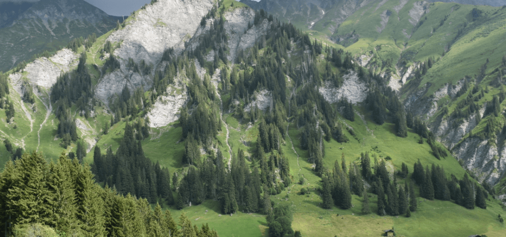 Forested mountain in Swiss alps — Moral Letters to Lucilius