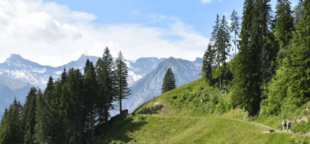 Hiking path in Swiss alps — Moral Letters to Lucilius