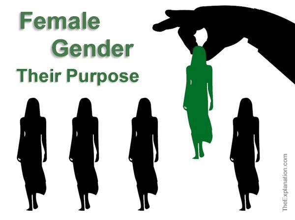 The Female Gender. Do we need it? What is their purpose, if any? Why did God create them like they are?