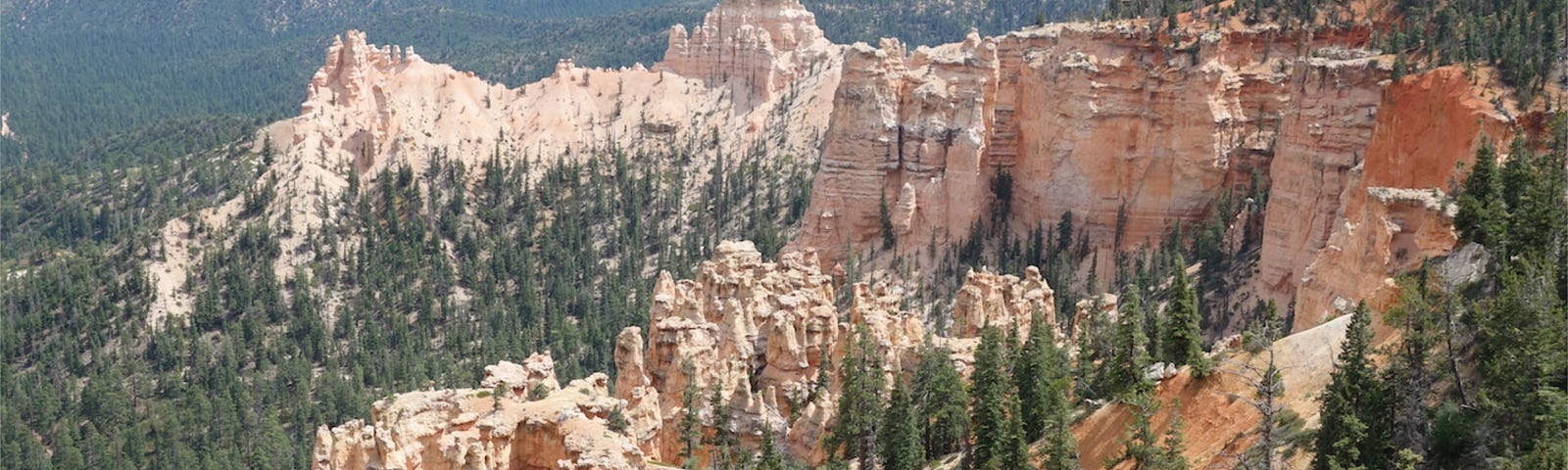 Overlooking one side of Bryce Canyon in Bryce Canyon National Park. You can see the multicolored spires of rock and trees in the amphitheater. View from 9000 feet. Bryce Canyon National Park Utah, travel, hotspot