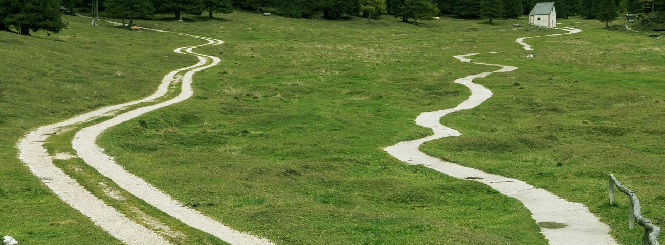 Image: A photograph of two diverging paths through the grass.